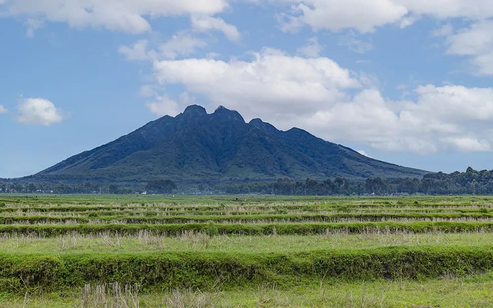 Cultivated fields below Rwanda’s volcanic mountains